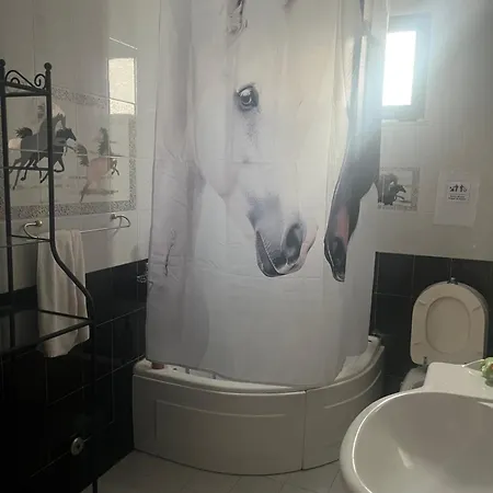 בית נופש Krista's House איוי תיאודורי